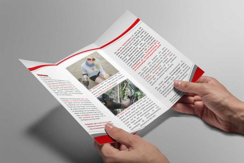 5 x Faltblatt/Schutzbrief DSU 